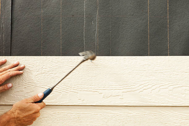 Affordable Siding Repair and Maintenance Services in Vincent, AL